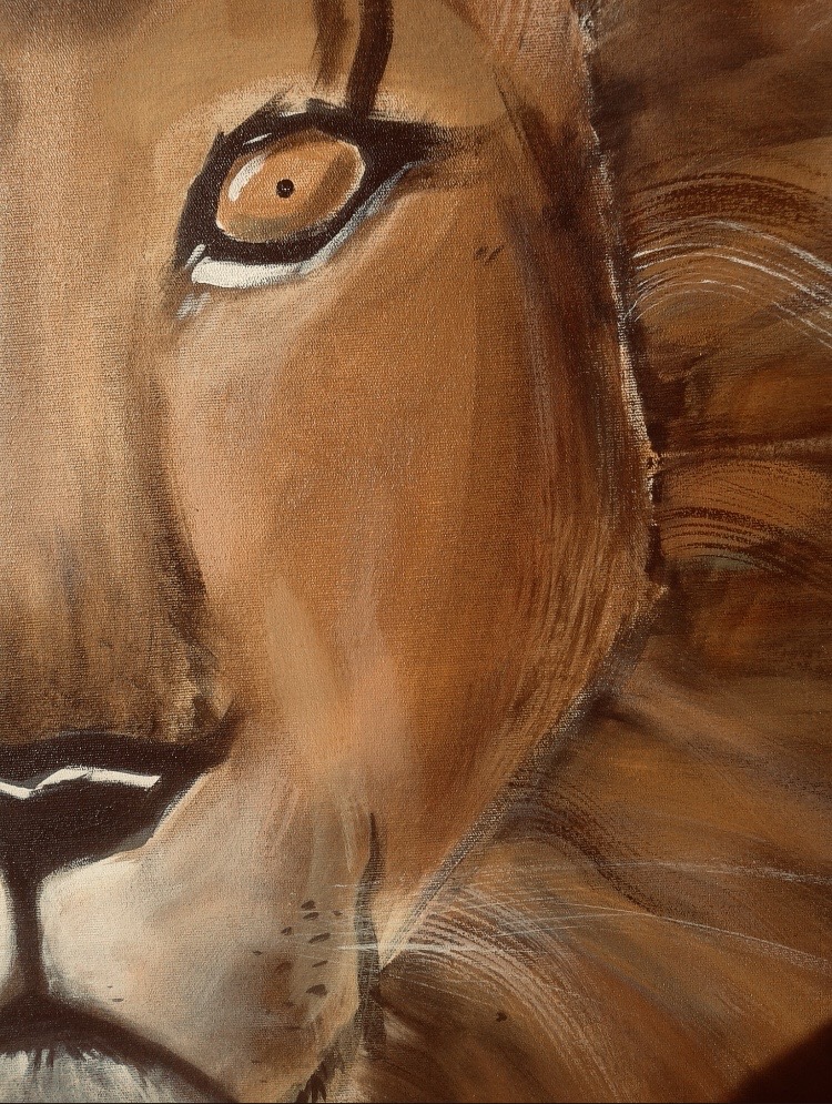 Retrato de Caio Coelho em seu ateliê